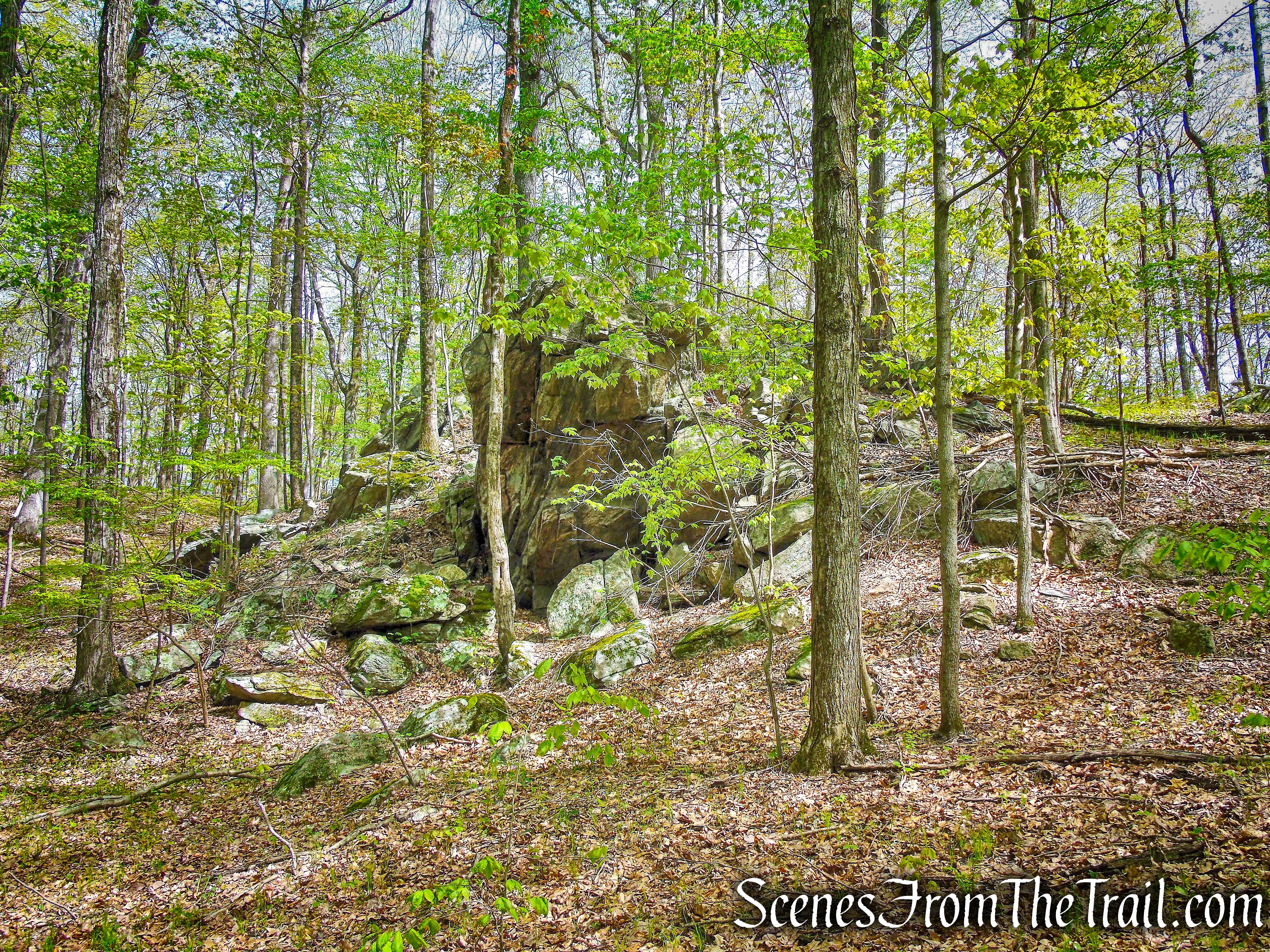White Trail - Ward Pound Ridge Reservation