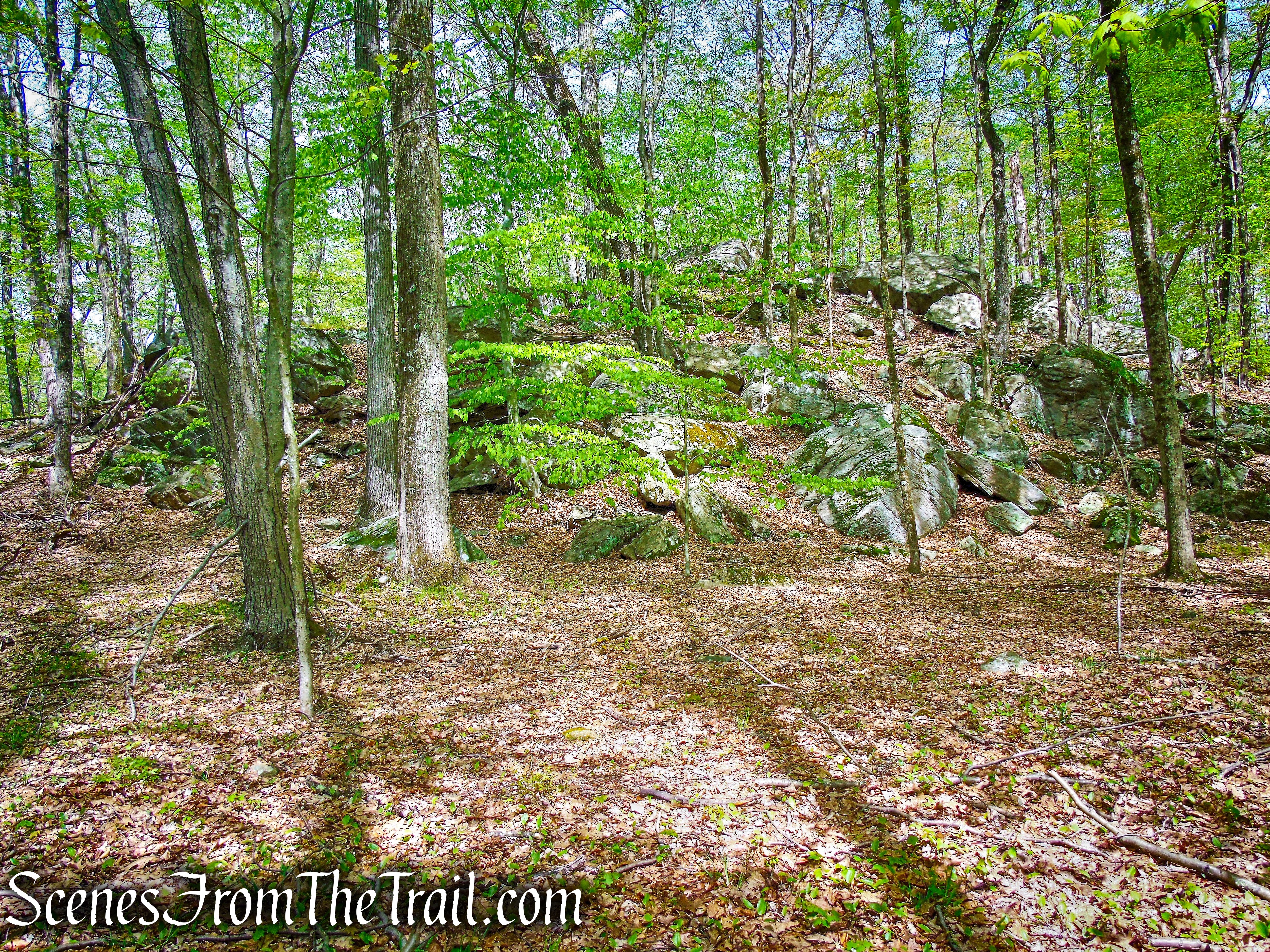 White Trail - Ward Pound Ridge Reservation