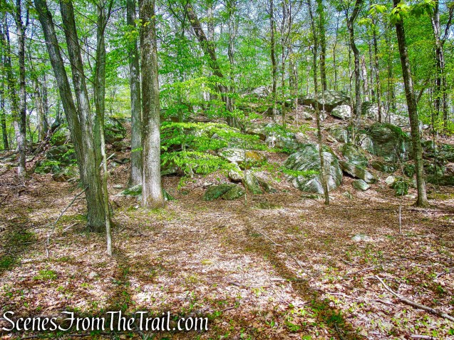 White Trail - Ward Pound Ridge Reservation