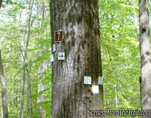 turn left at junction 7