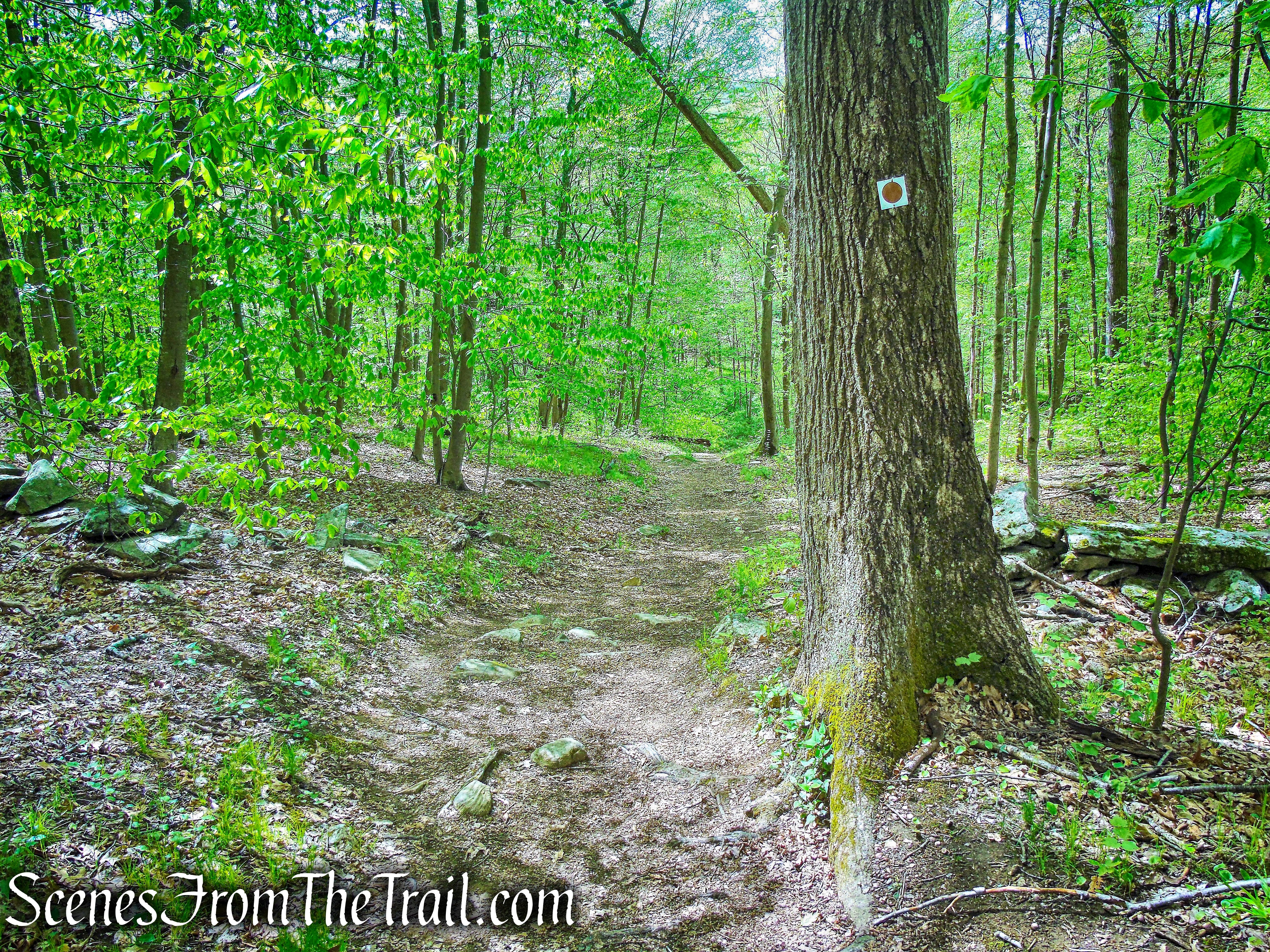 Brown Trail - Ward Pound Ridge Reservation