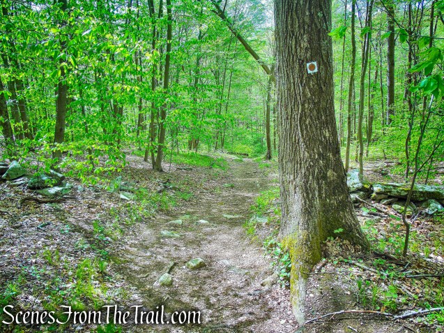 Brown Trail - Ward Pound Ridge Reservation