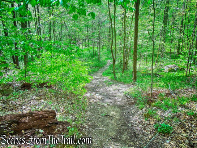 Brown Trail - Ward Pound Ridge Reservation