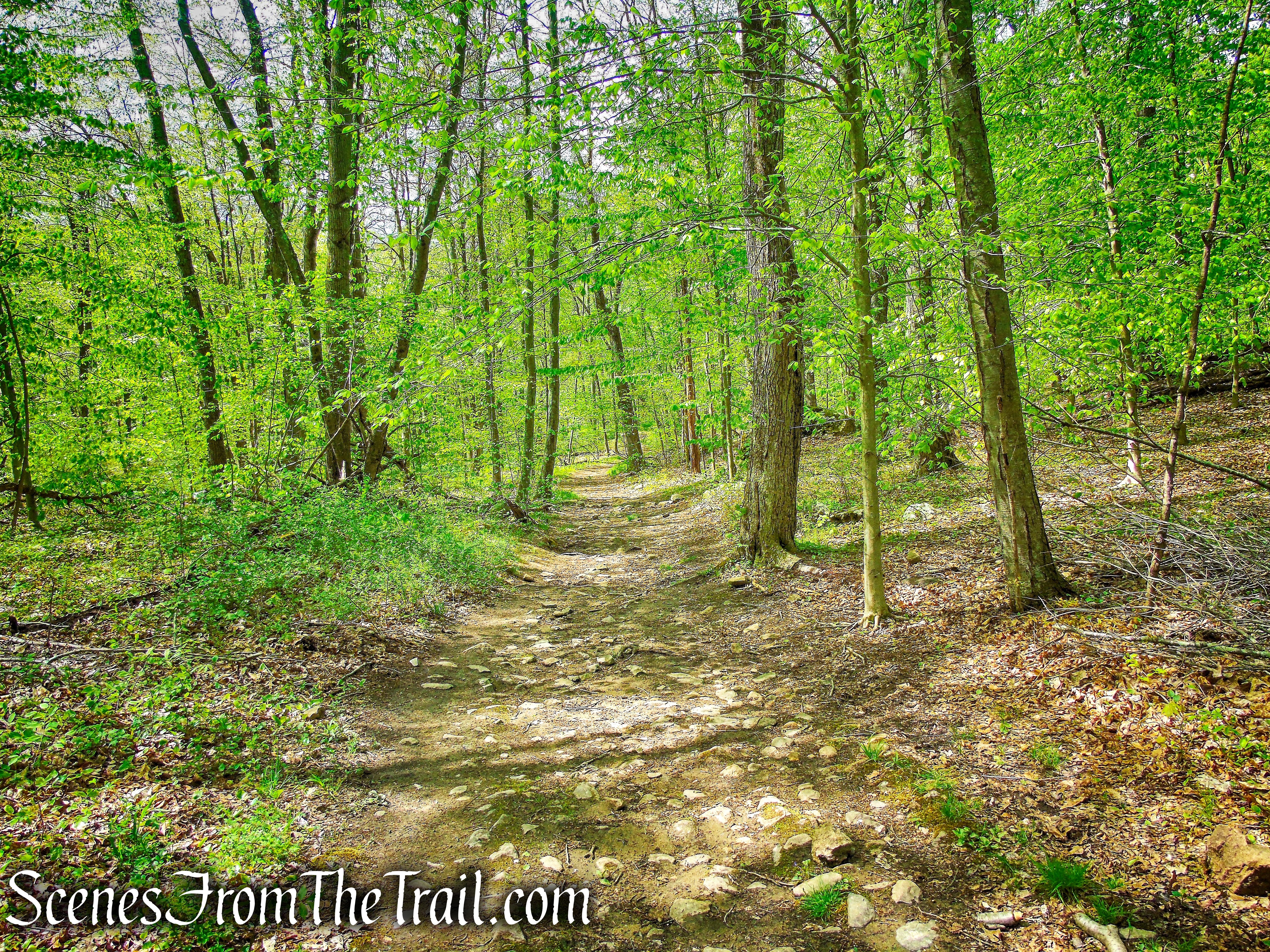 Brown Trail - Ward Pound Ridge Reservation