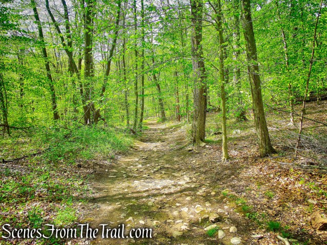 Brown Trail - Ward Pound Ridge Reservation