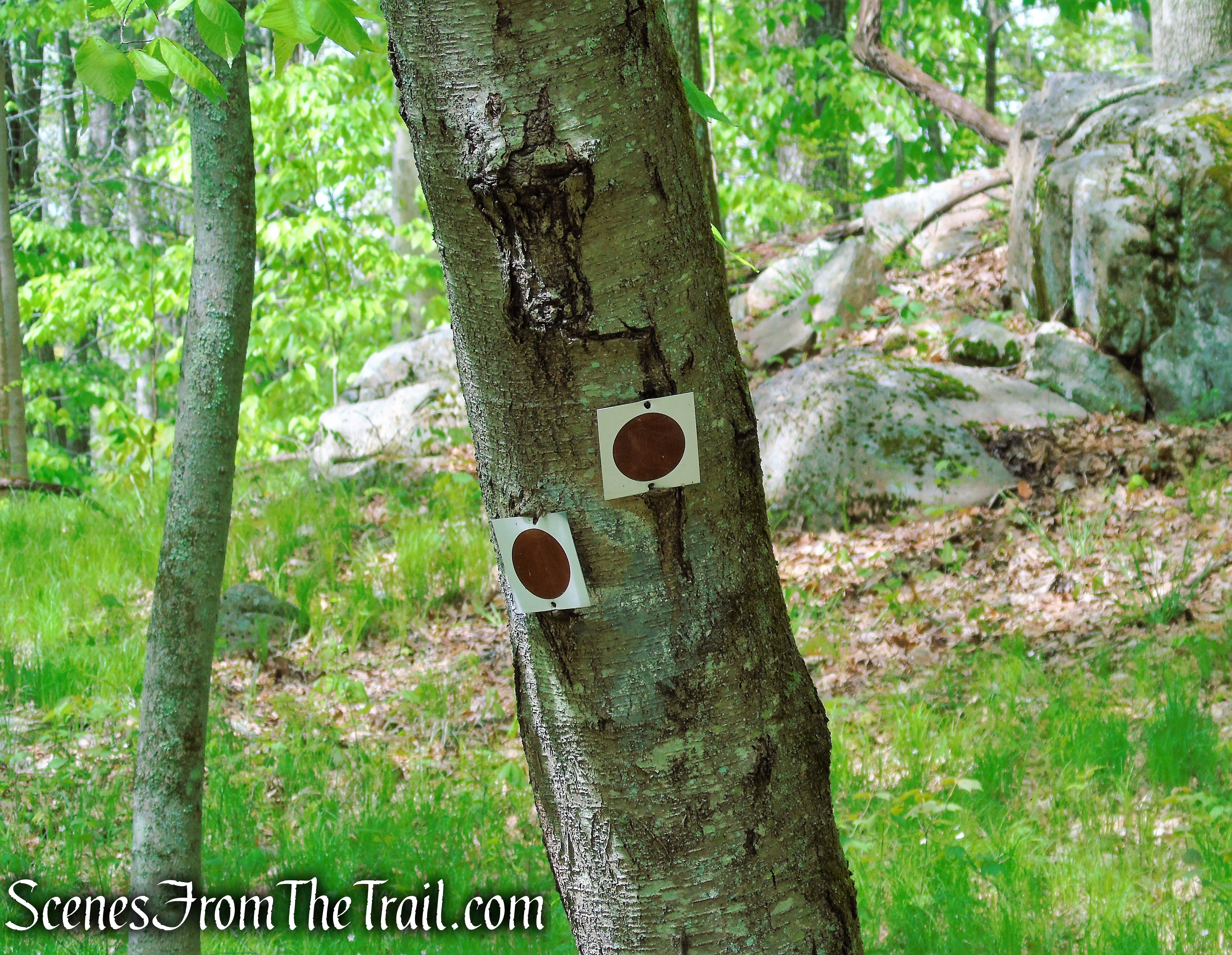 turn right at junction 3