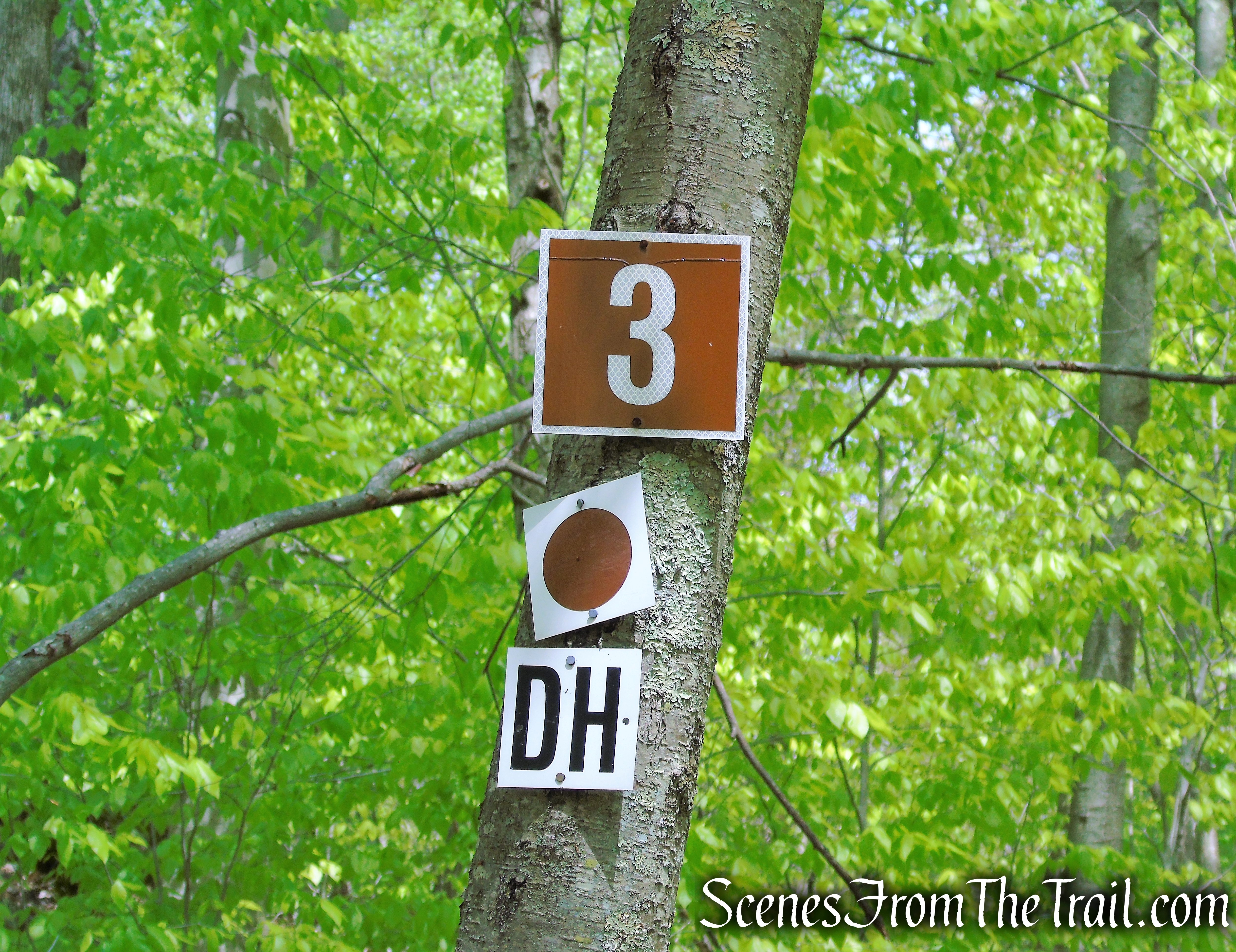 turn right at junction 3