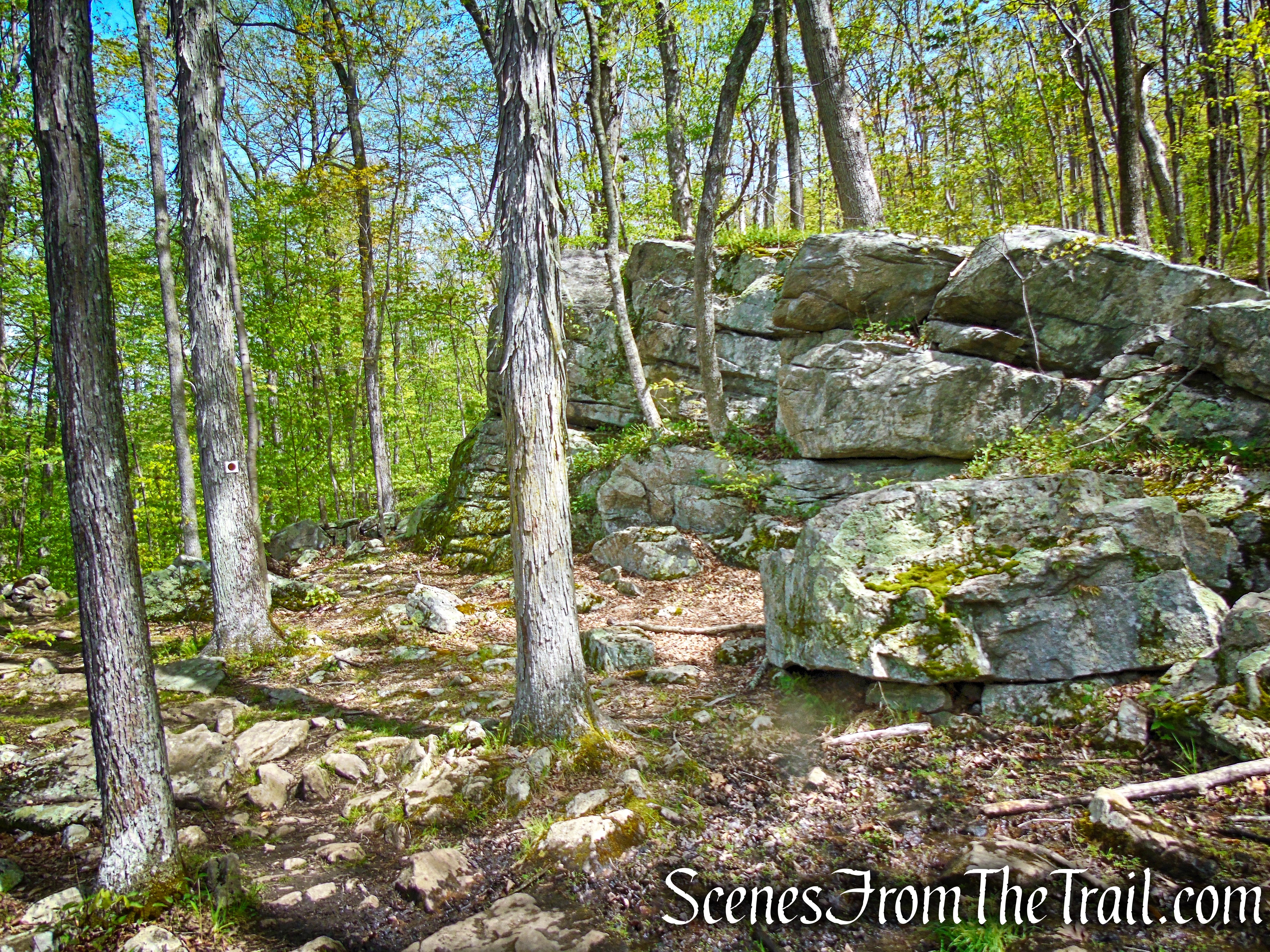 Brown Trail - Ward Pound Ridge Reservation