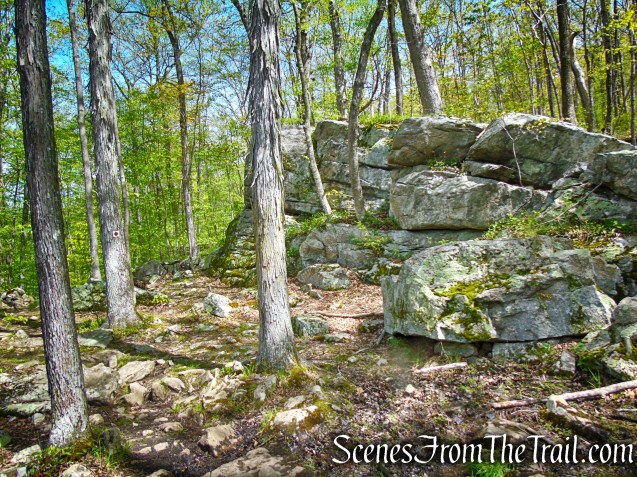 Brown Trail - Ward Pound Ridge Reservation