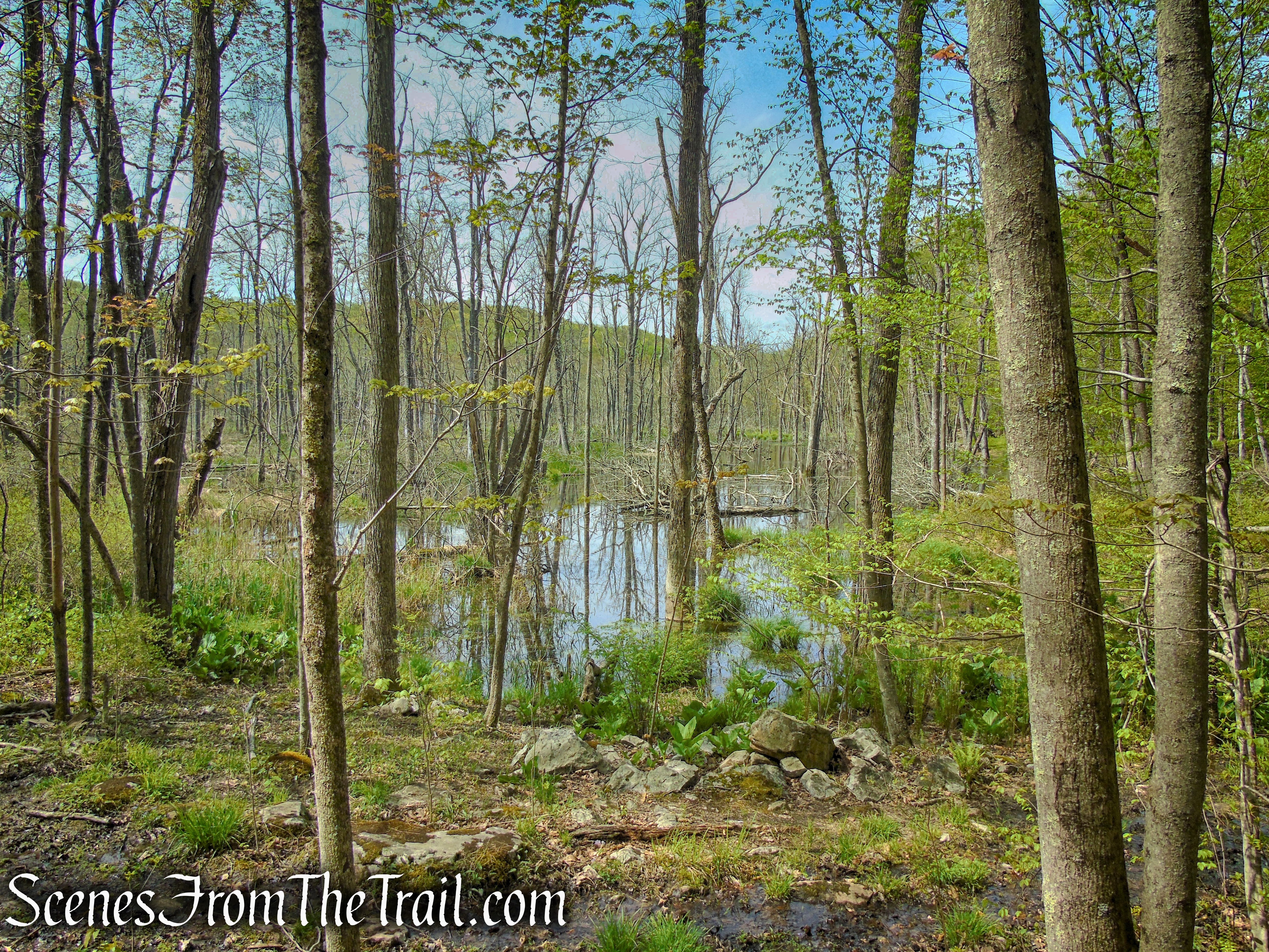 Brown Trail - Ward Pound Ridge Reservation