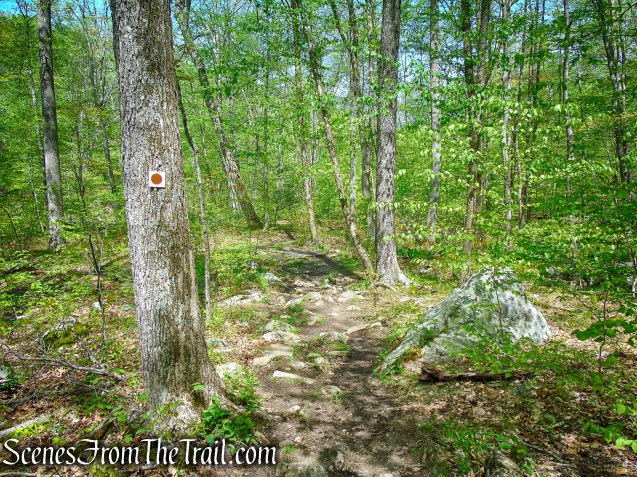 Brown Trail - Ward Pound Ridge Reservation