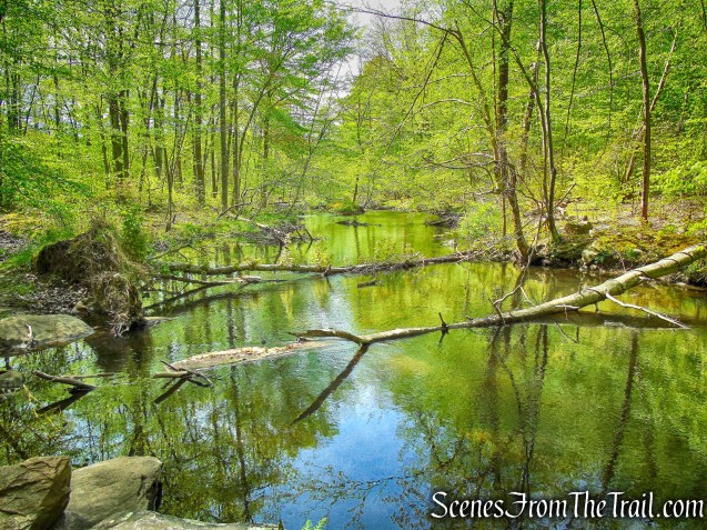 Cross River - Ward Pound Ridge Reservation