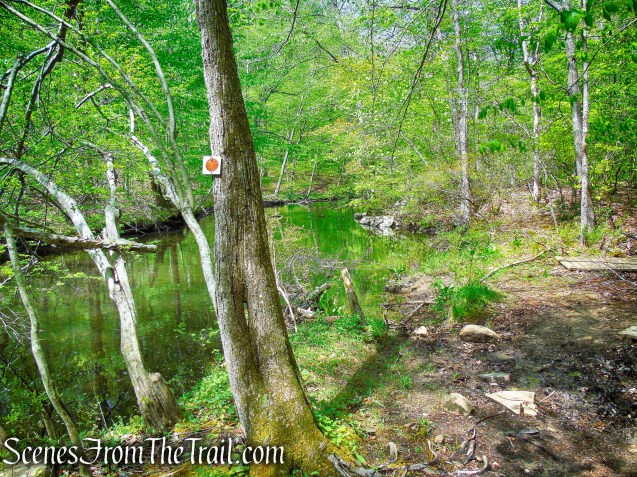 Brown Trail - Ward Pound Ridge Reservation