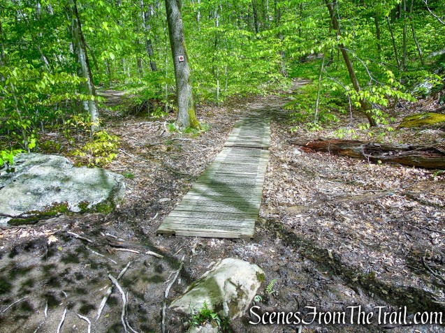 Brown Trail - Ward Pound Ridge Reservation