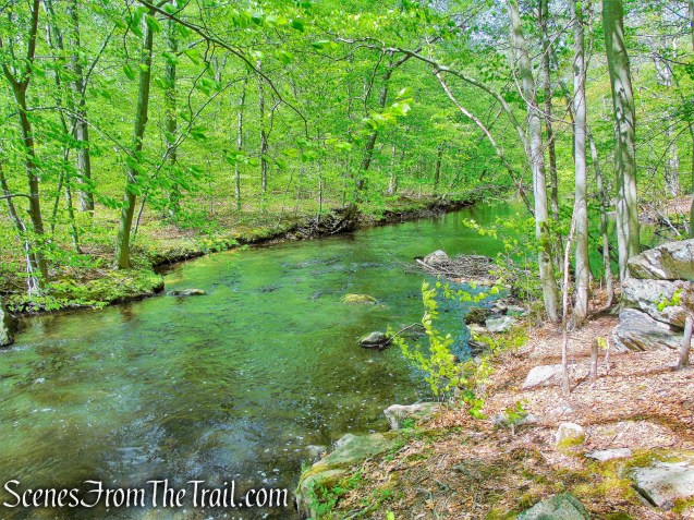 Cross River - Ward Pound Ridge Reservation