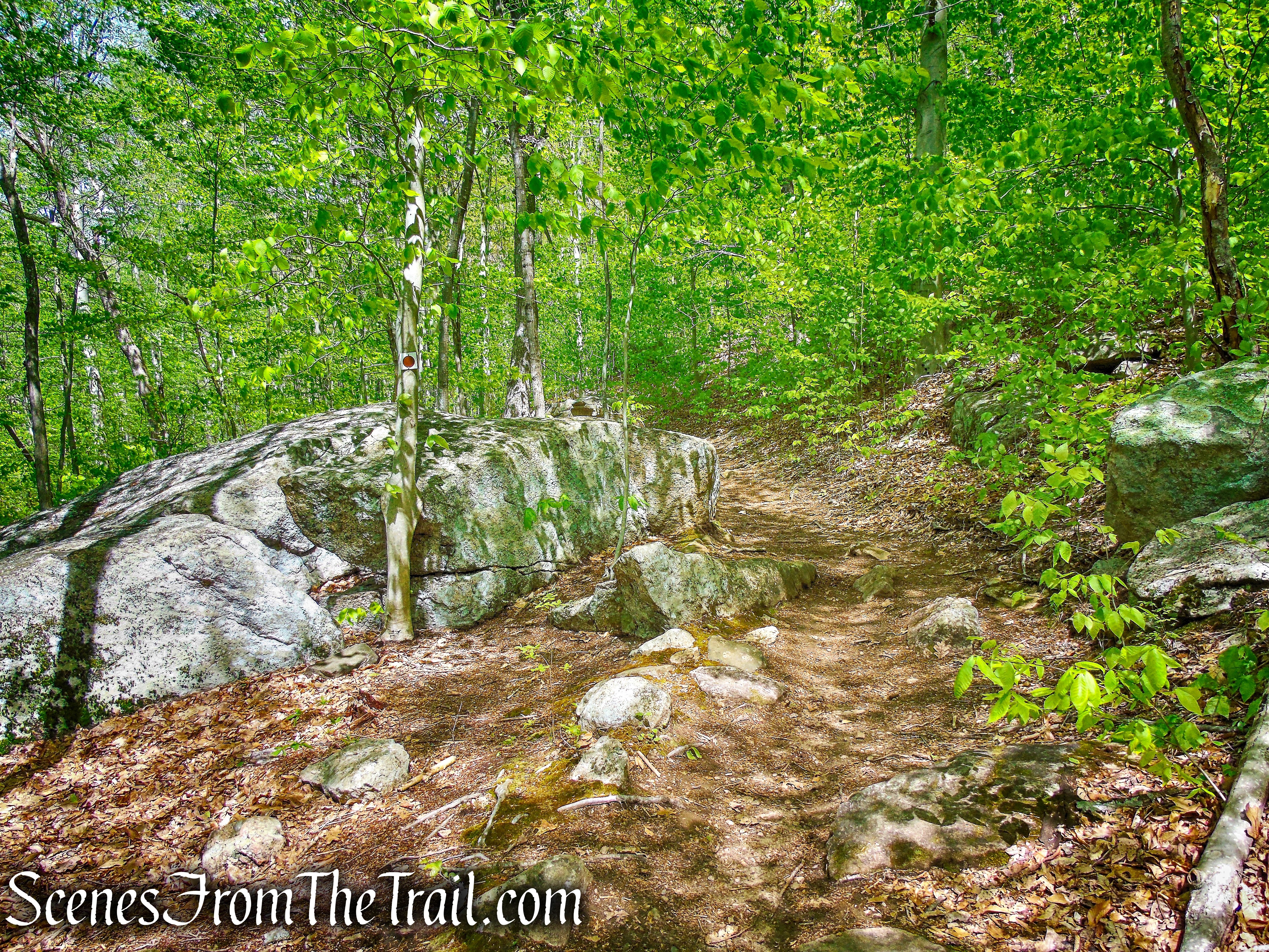 Brown Trail - Ward Pound Ridge Reservation