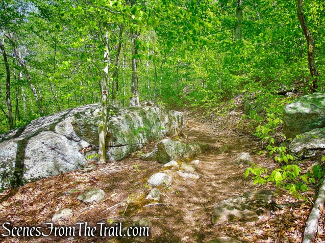 Brown Trail - Ward Pound Ridge Reservation