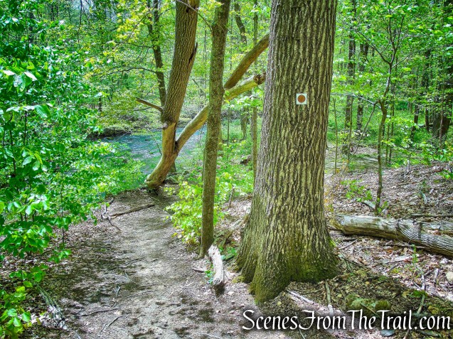 Brown Trail - Ward Pound Ridge Reservation