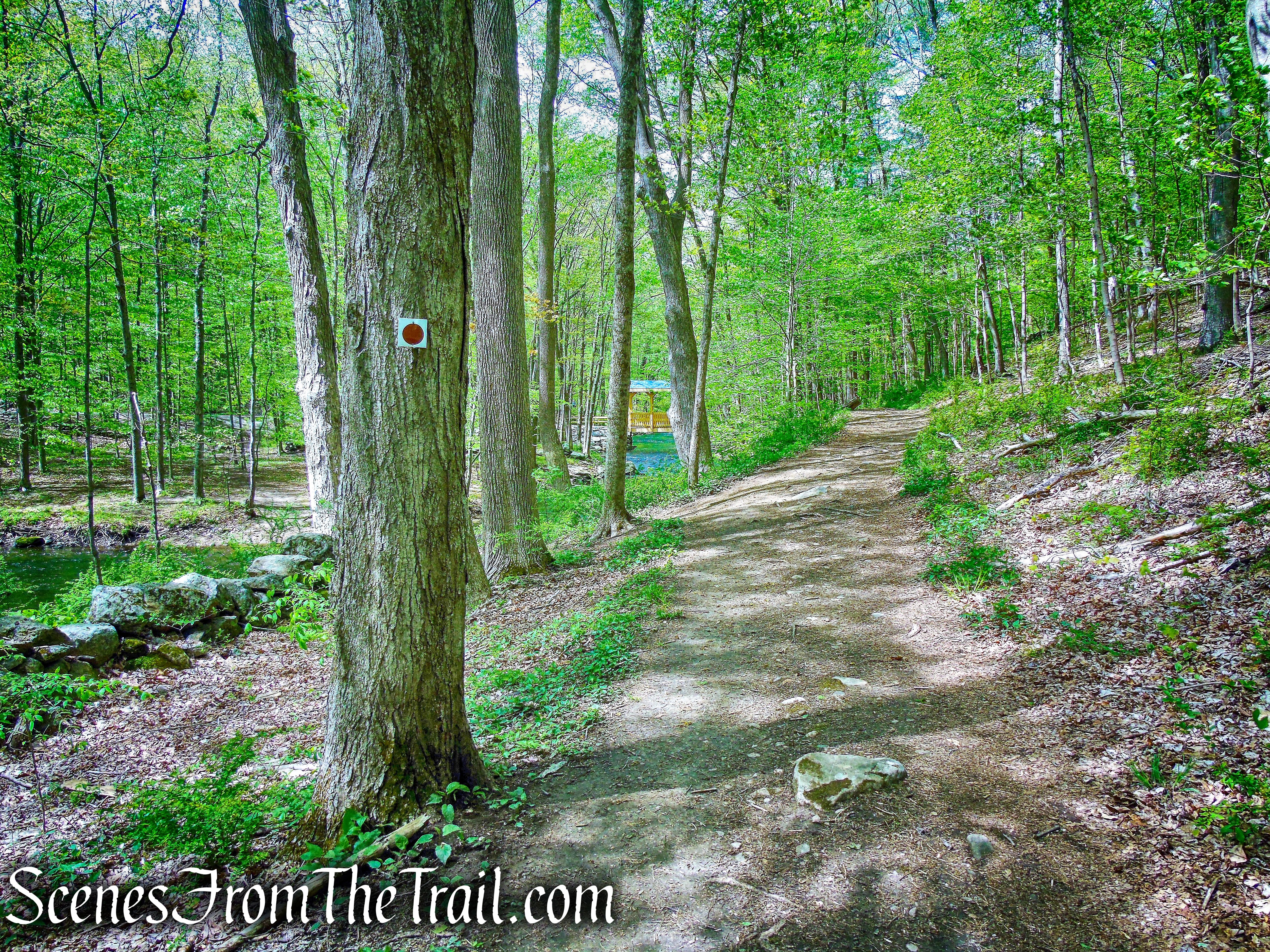Brown Trail - Ward Pound Ridge Reservation