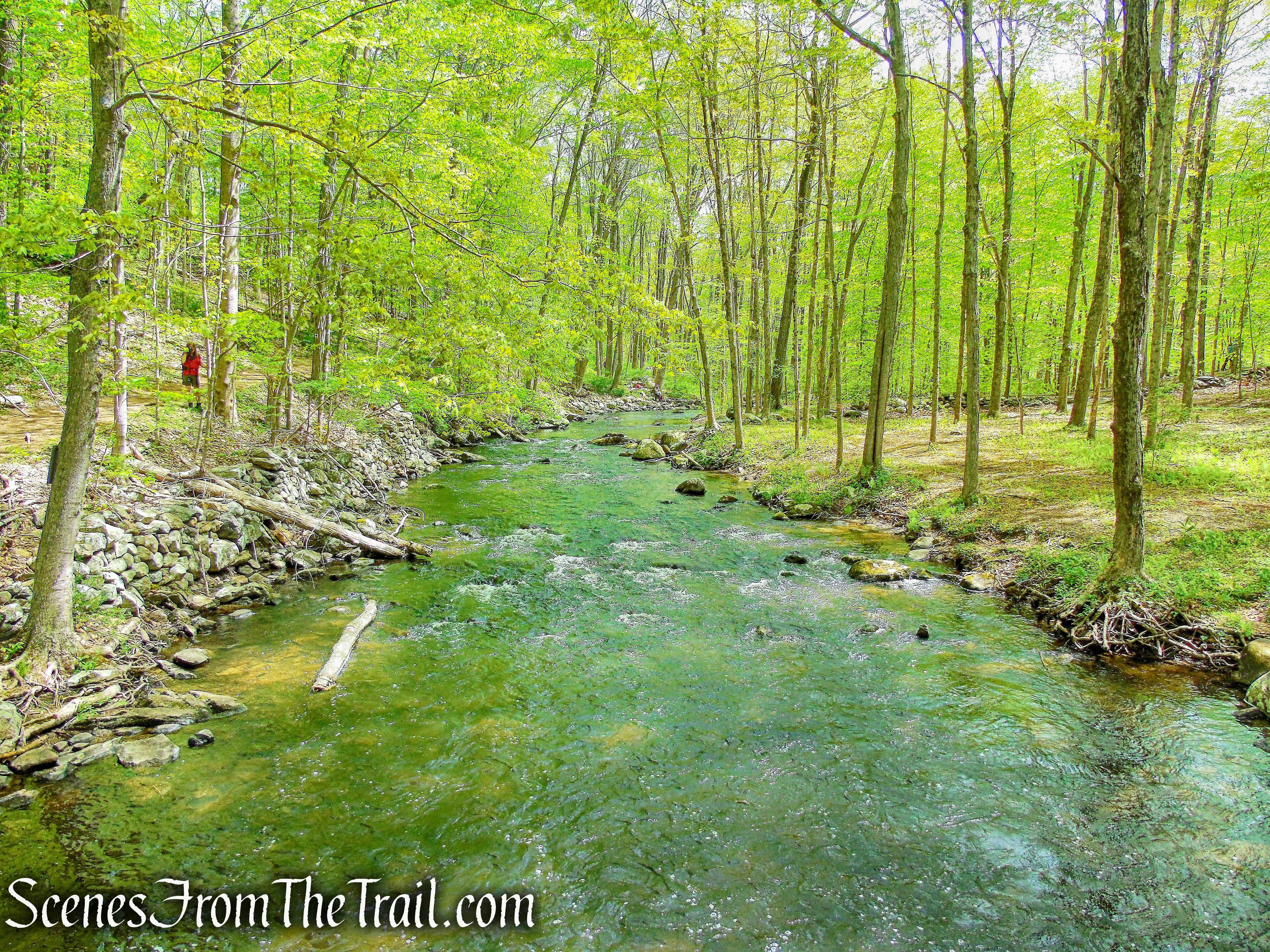 Cross River - Ward Pound Ridge Reservation