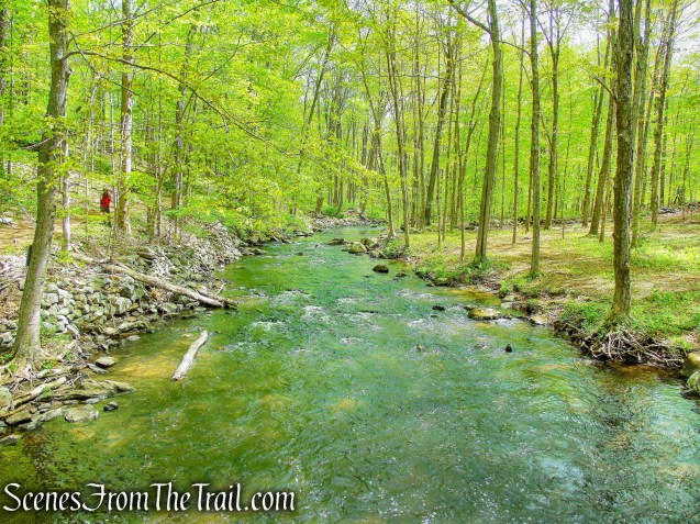 Cross River - Ward Pound Ridge Reservation
