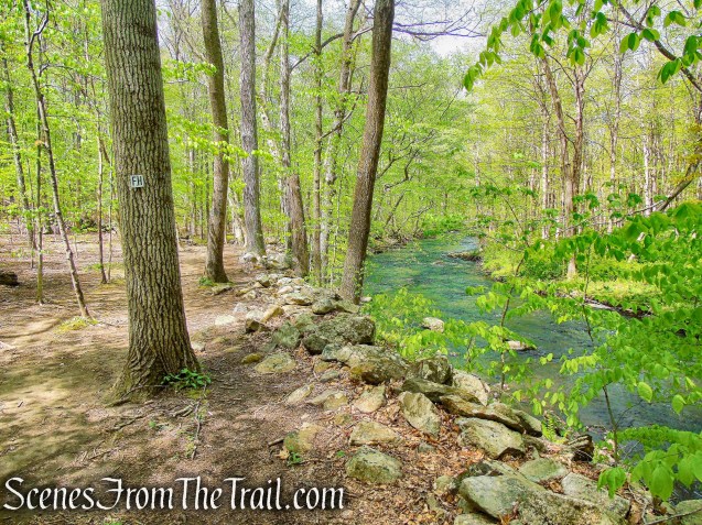 Fox Hill Trail - Ward Pound Ridge Reservation