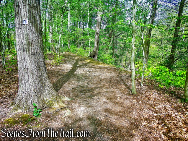 Fox Hill Trail - Ward Pound Ridge Reservation