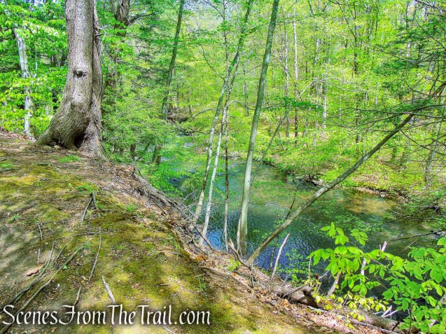 Fox Hill Trail - Ward Pound Ridge Reservation