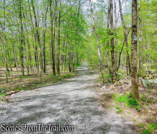 Fox Hill Trail - Ward Pound Ridge Reservation