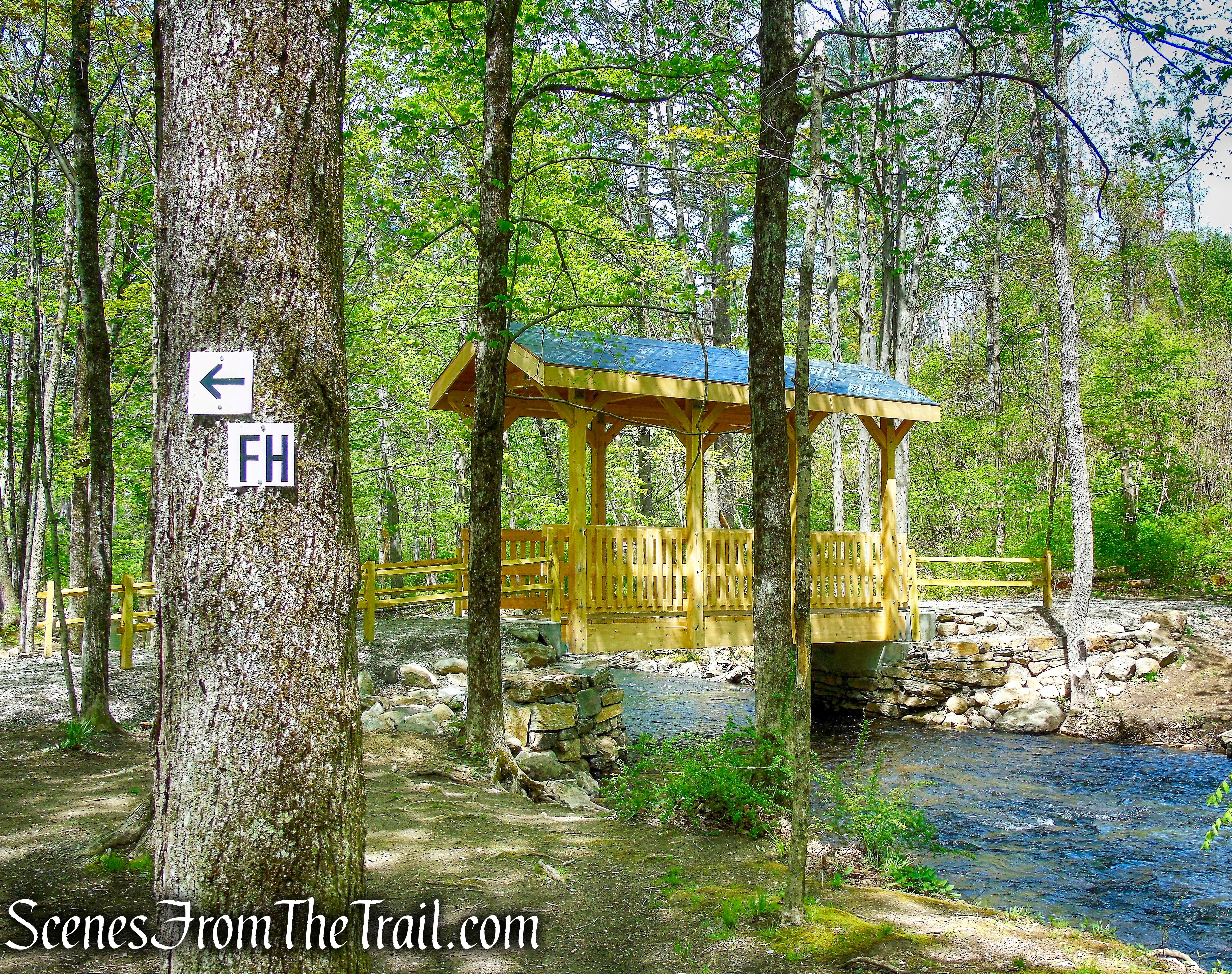 turn left to remain on Fox Hill Trail 