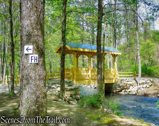 turn left to remain on Fox Hill Trail 