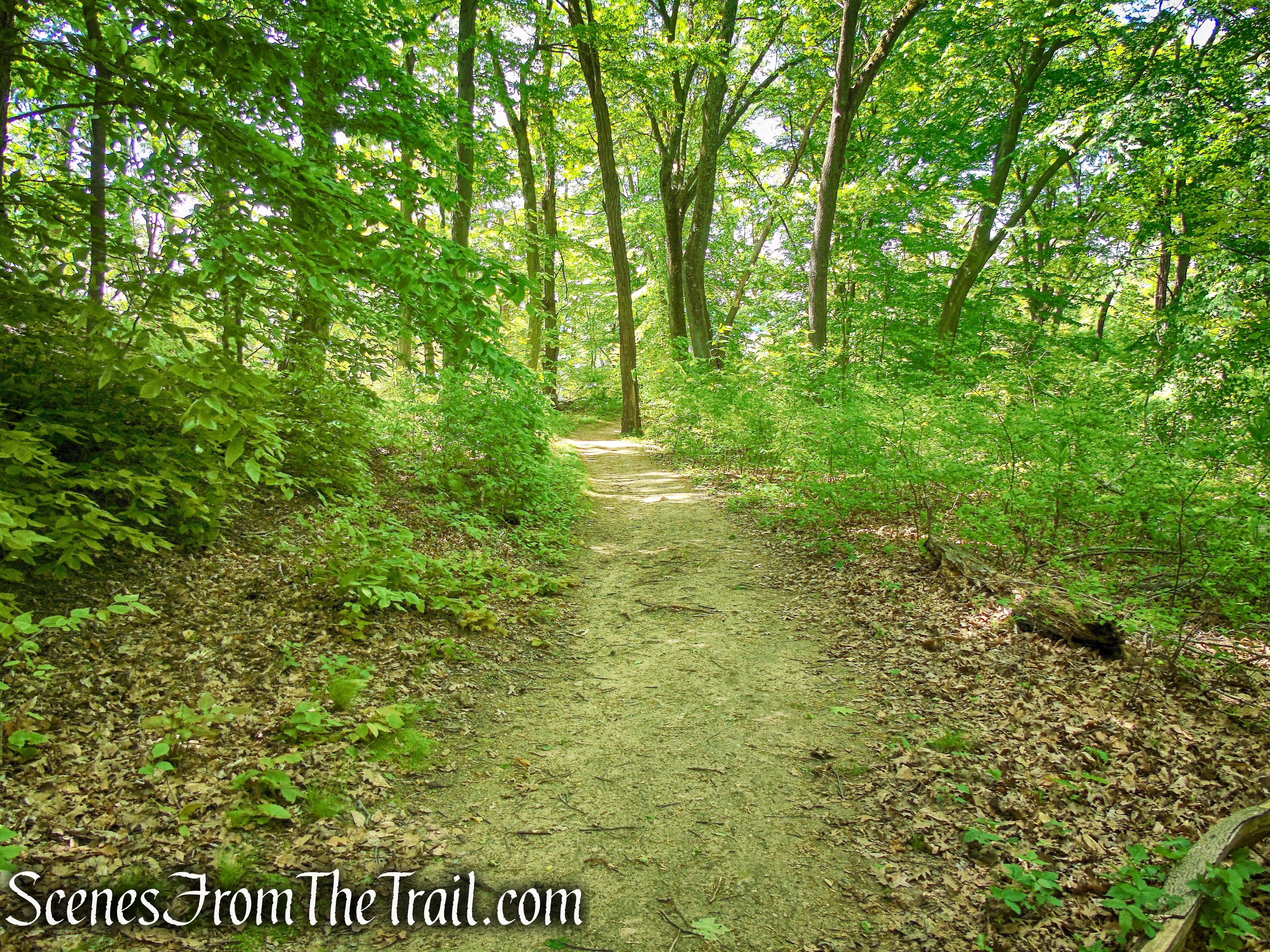Crawbuckie Nature Preserve
