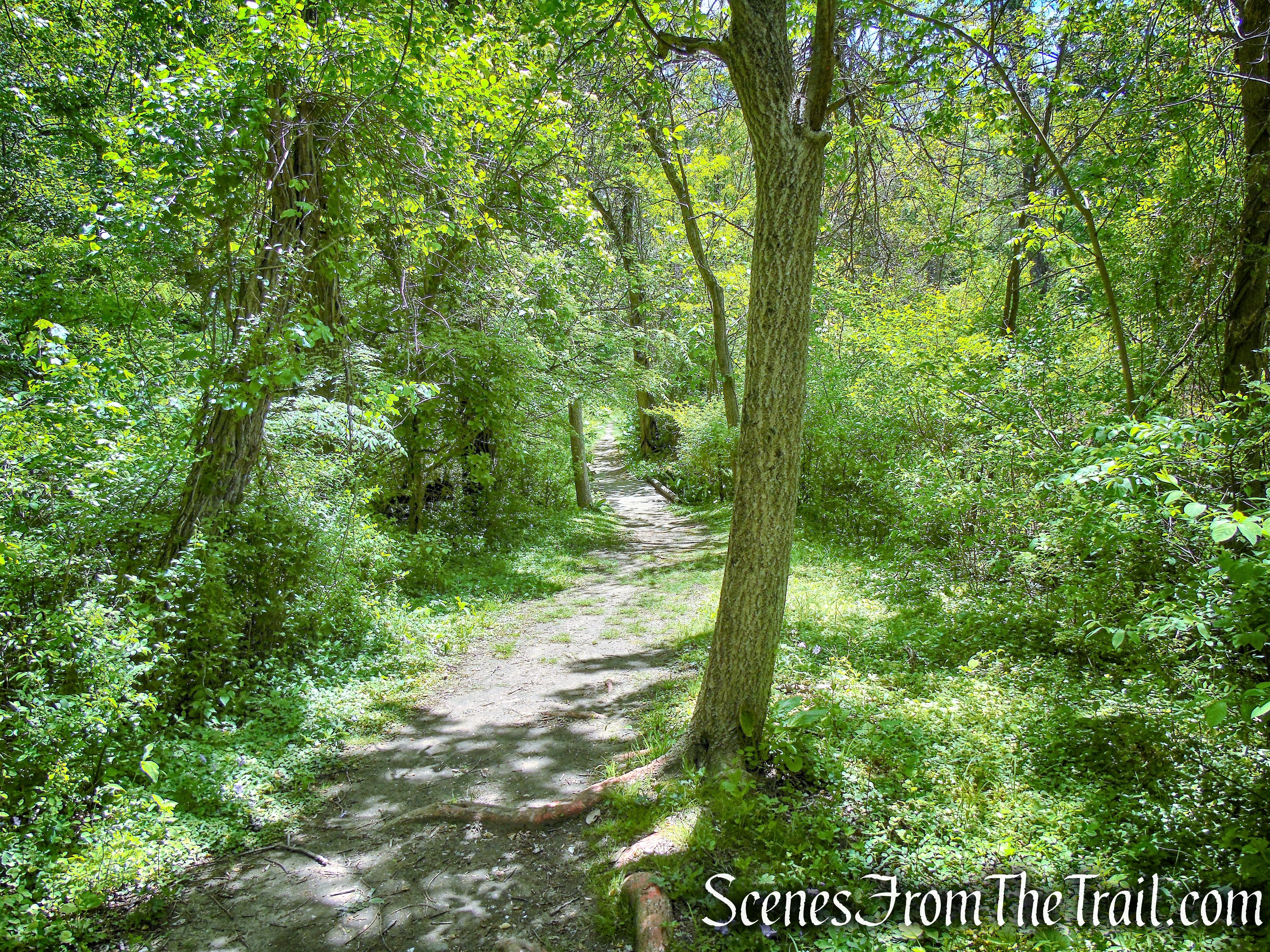Crawbuckie Nature Preserve
