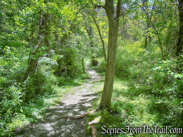 Crawbuckie Nature Preserve