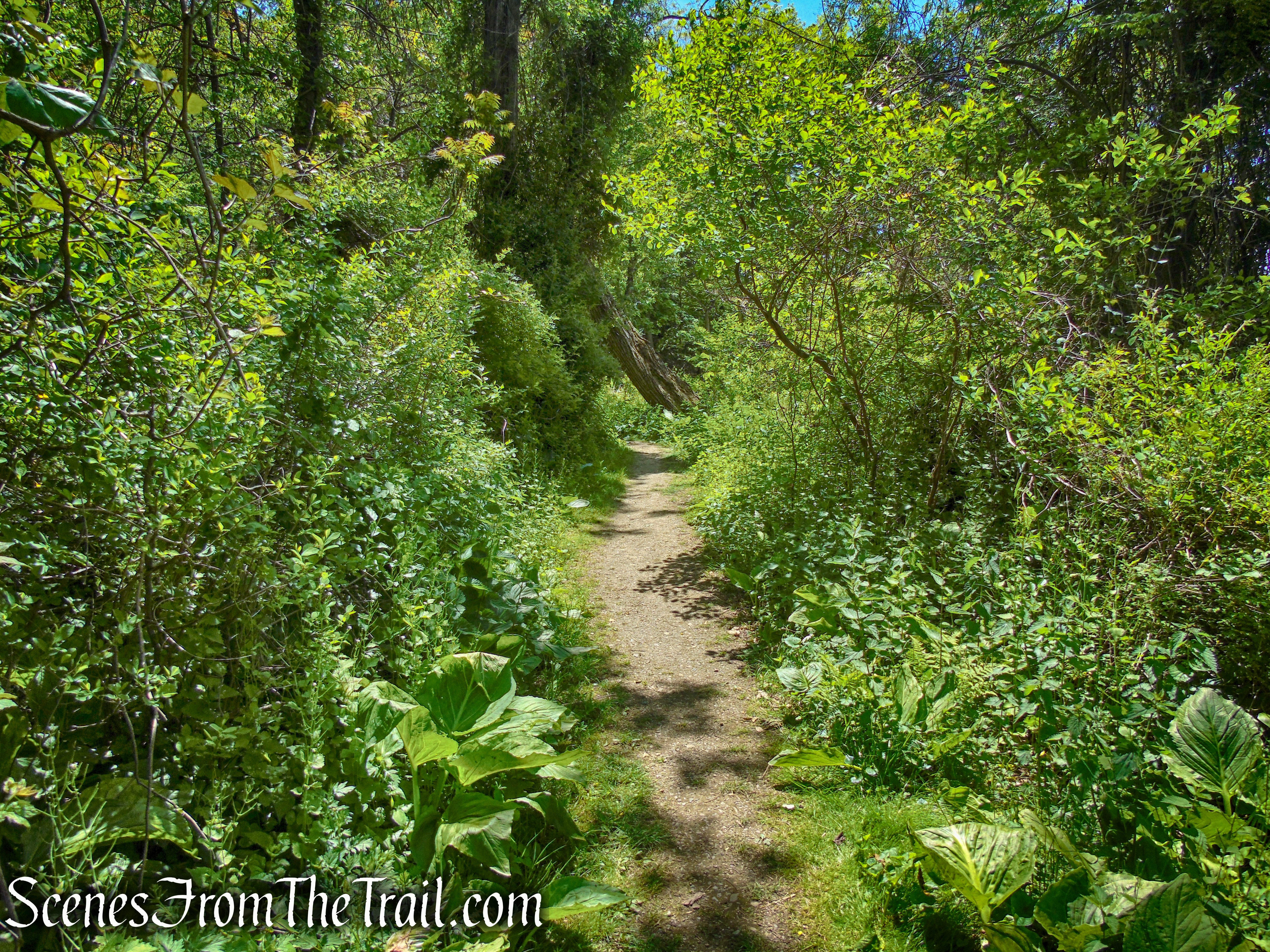 Crawbuckie Nature Preserve