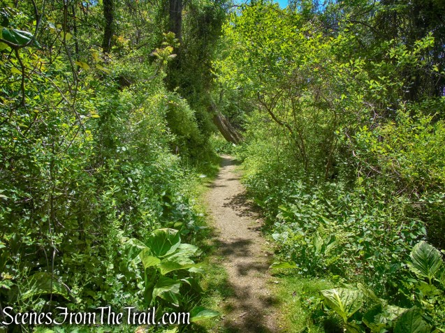 Crawbuckie Nature Preserve