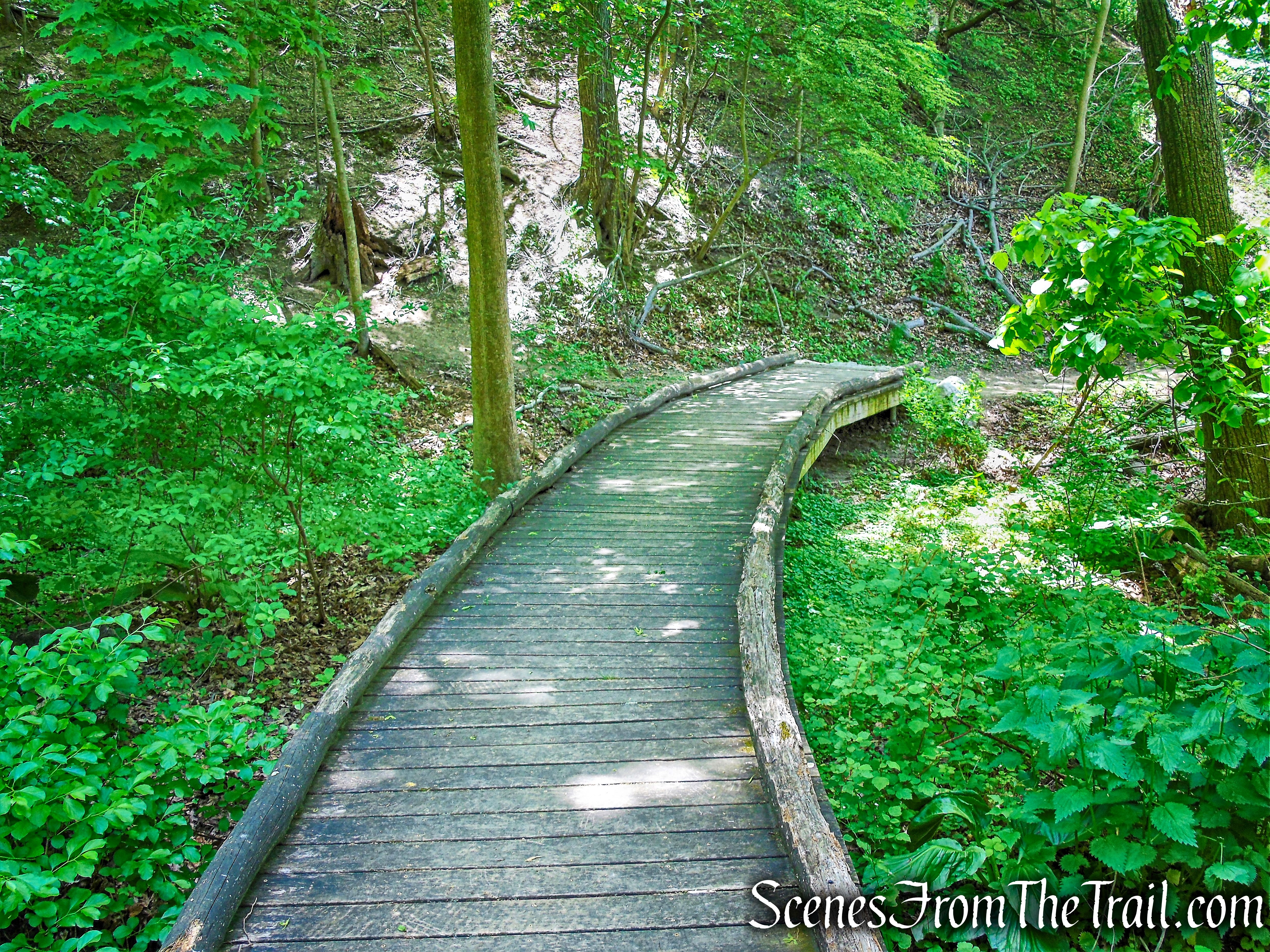 boardwalk - Crawbuckie Nature Preserve