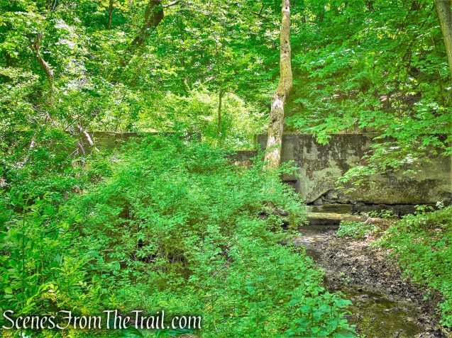 dam - Crawbuckie Nature Preserve