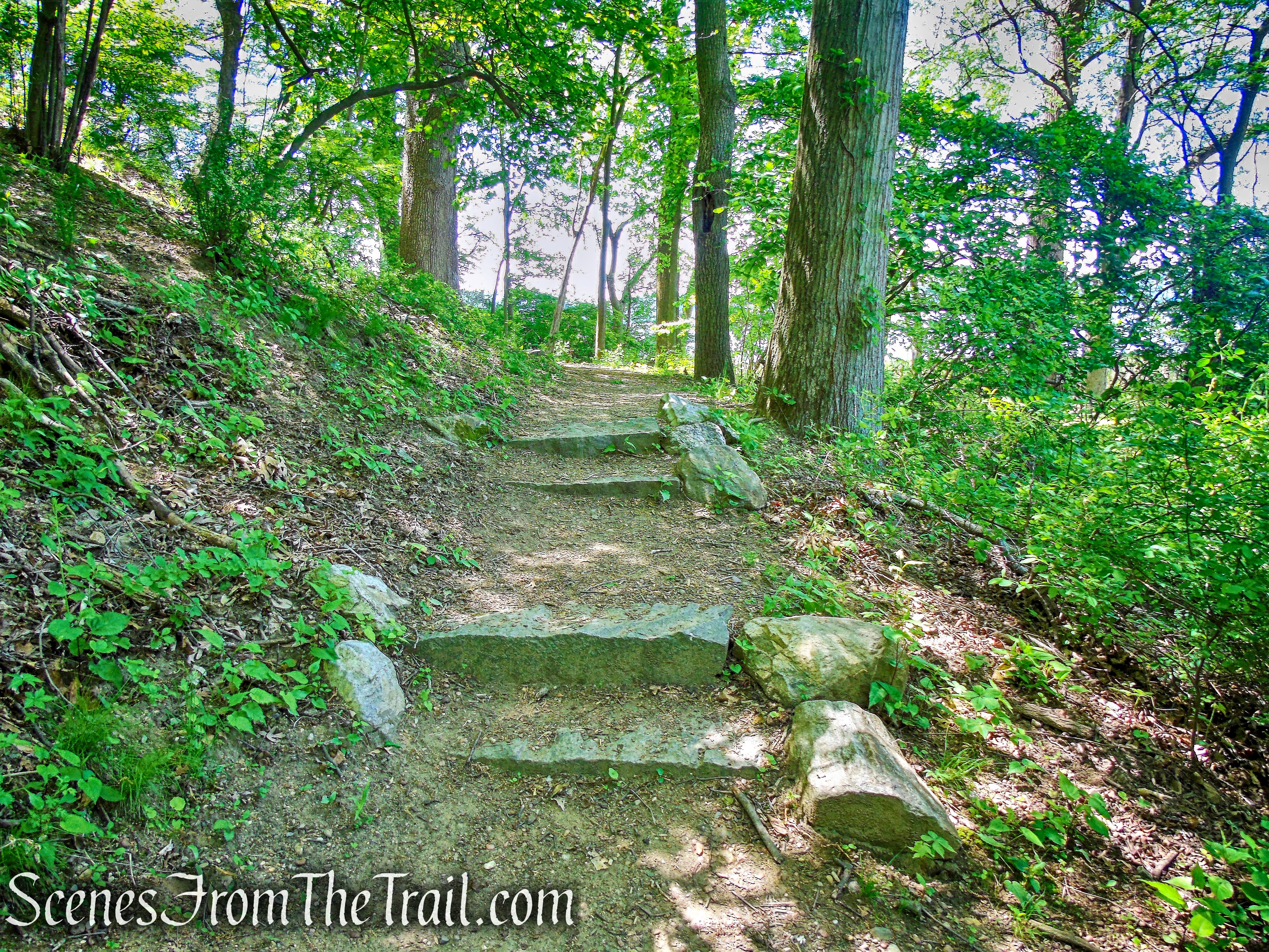 stone steps - Crawbuckie Nature Preserve