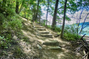 stone steps - Crawbuckie Nature Preserve