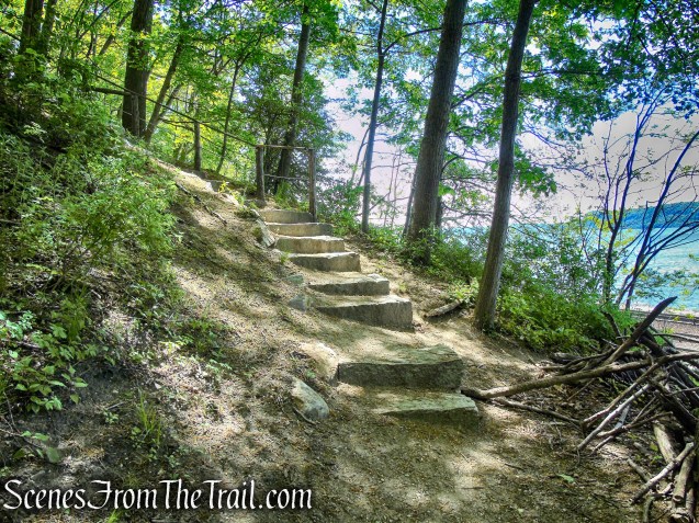 stone steps - Crawbuckie Nature Preserve