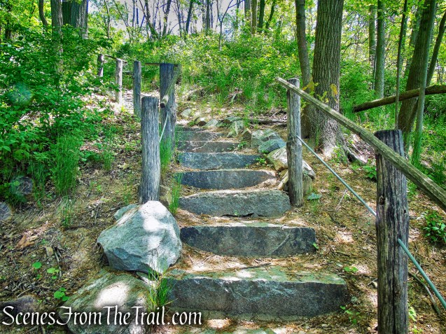 stone steps - Crawbuckie Nature Preserve