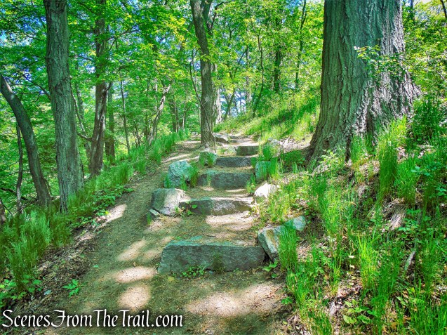 stone steps - Crawbuckie Nature Preserve