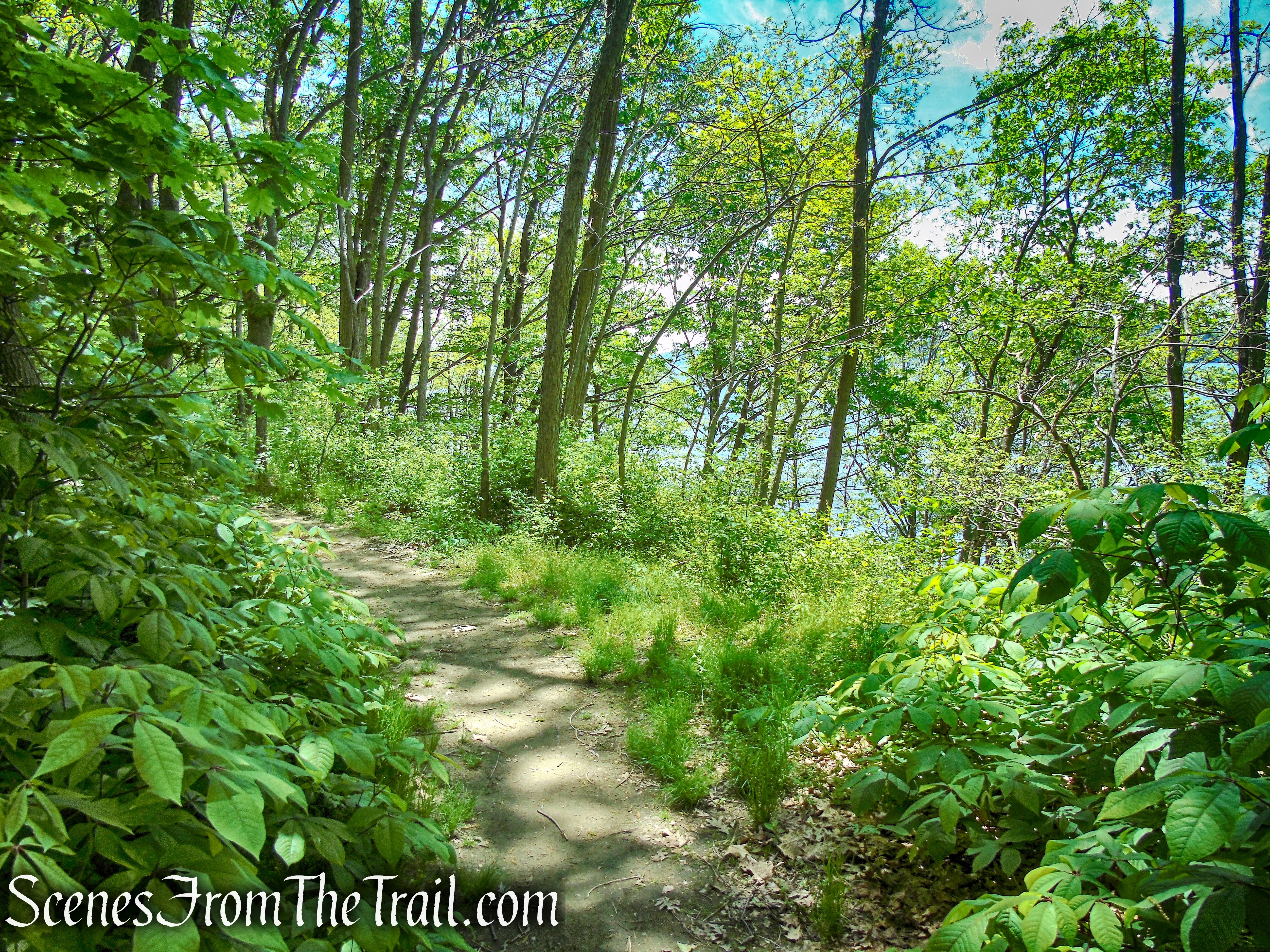 Crawbuckie Nature Preserve 