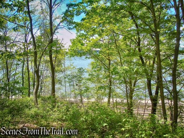 viewing platform - Crawbuckie Nature Preserve