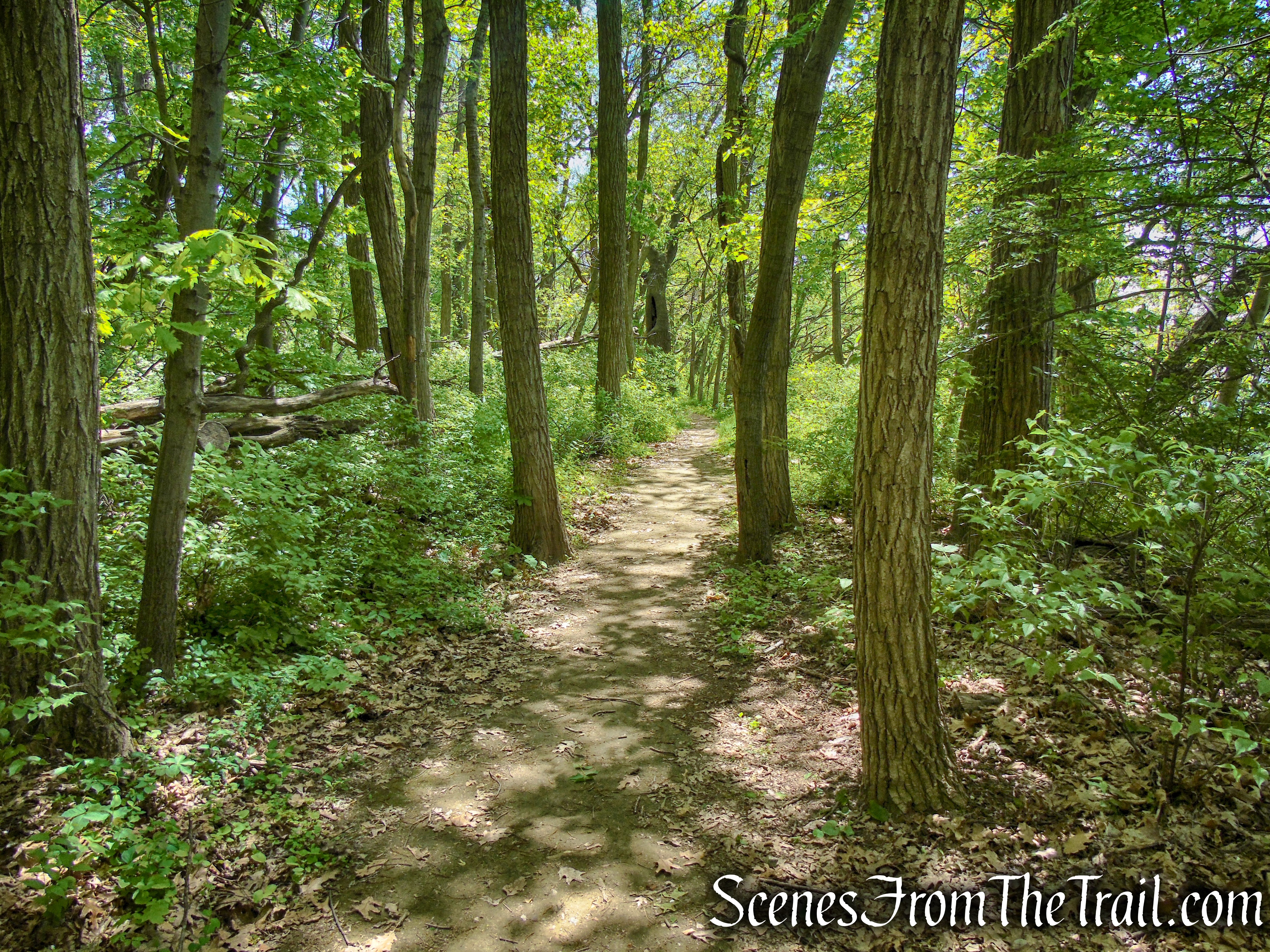 Crawbuckie Nature Preserve 