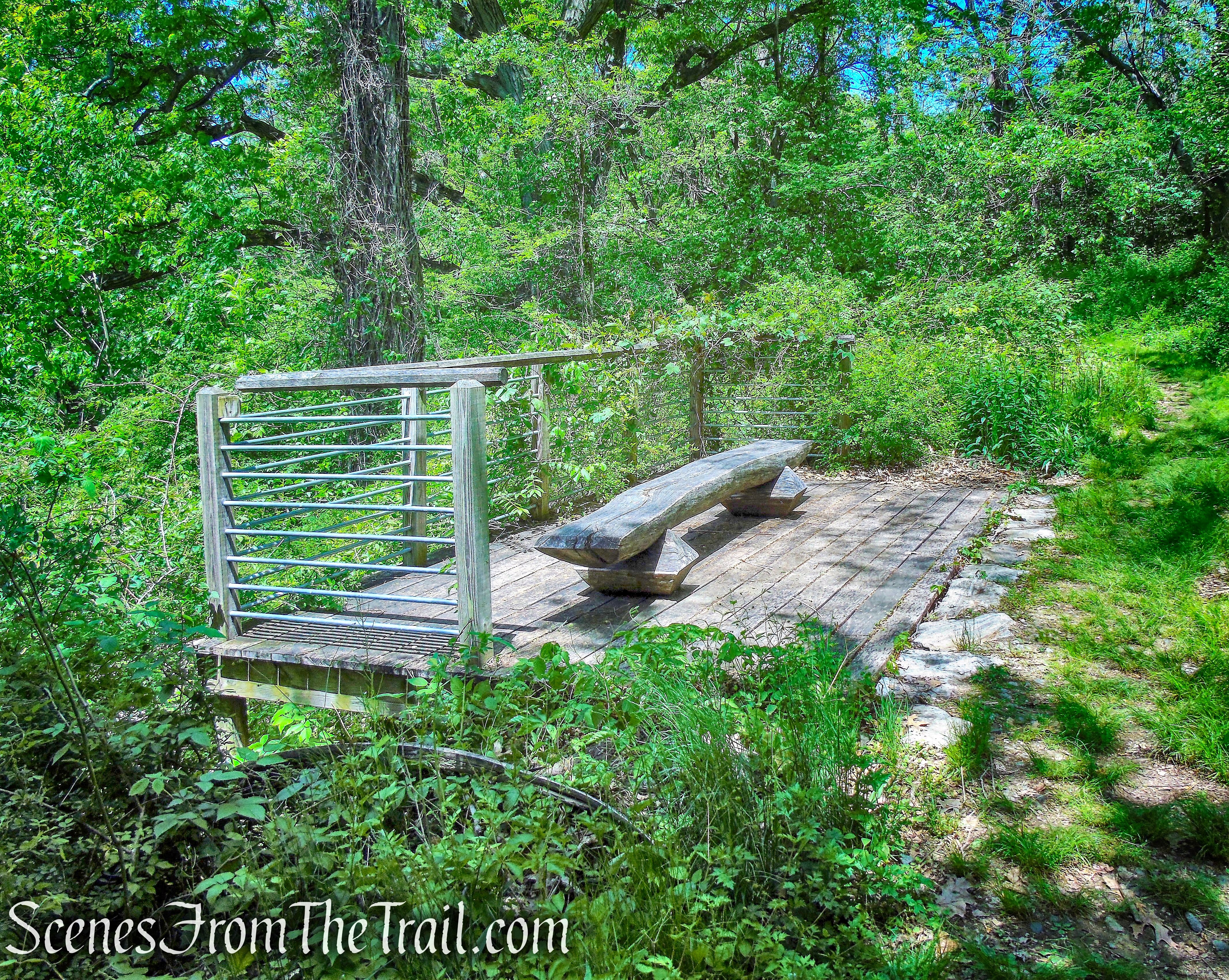 observation platform - Crawbuckie Nature Preserve