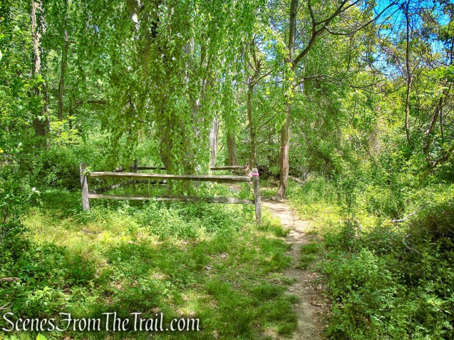 Crawbuckie Nature Preserve