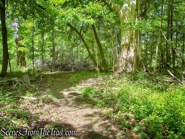 Crawbuckie Nature Preserve