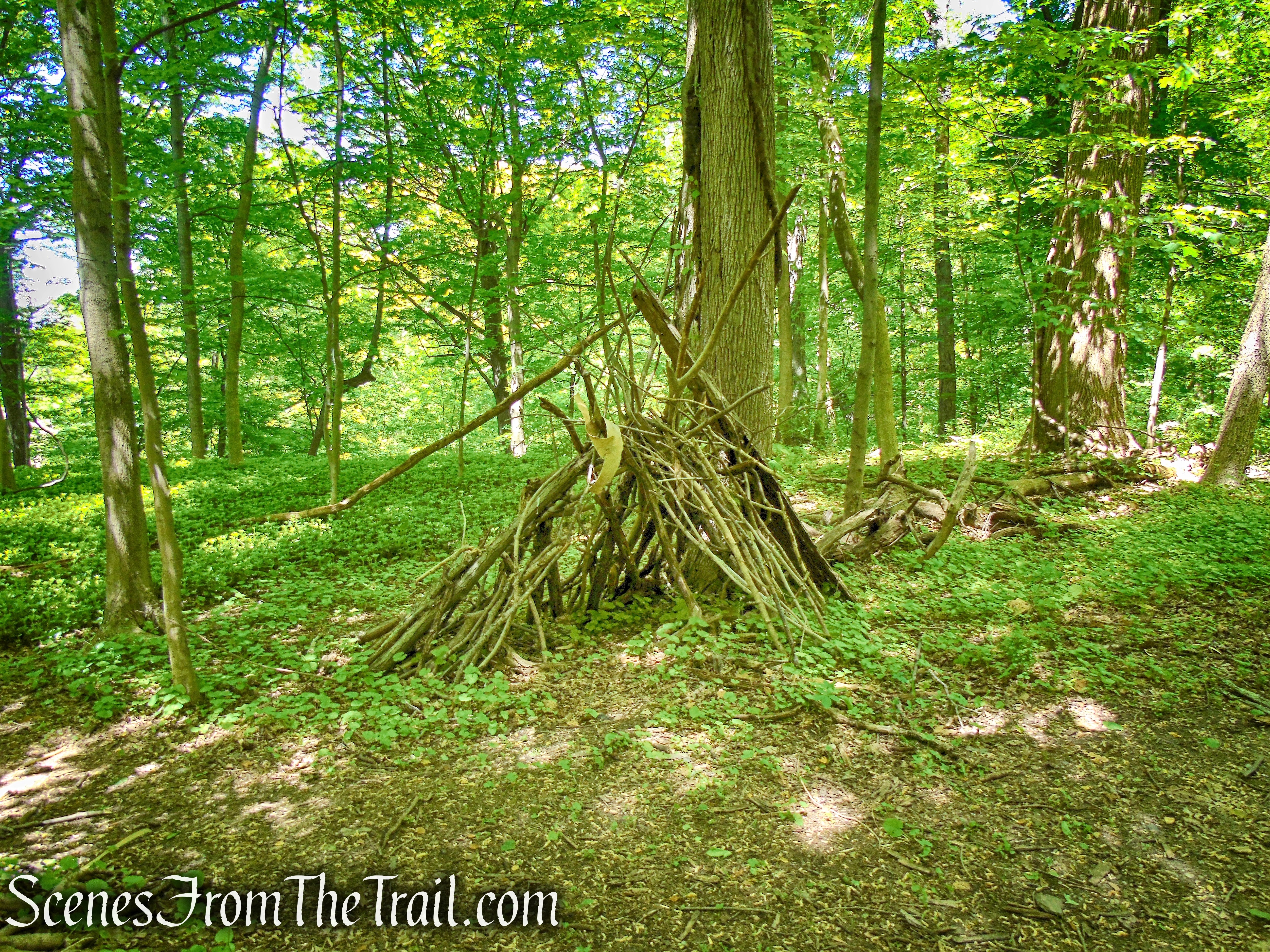 Crawbuckie Nature Preserve